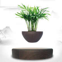Load image into Gallery viewer, Floating Magnetic Bonsai Pot - BitGadget Nexus